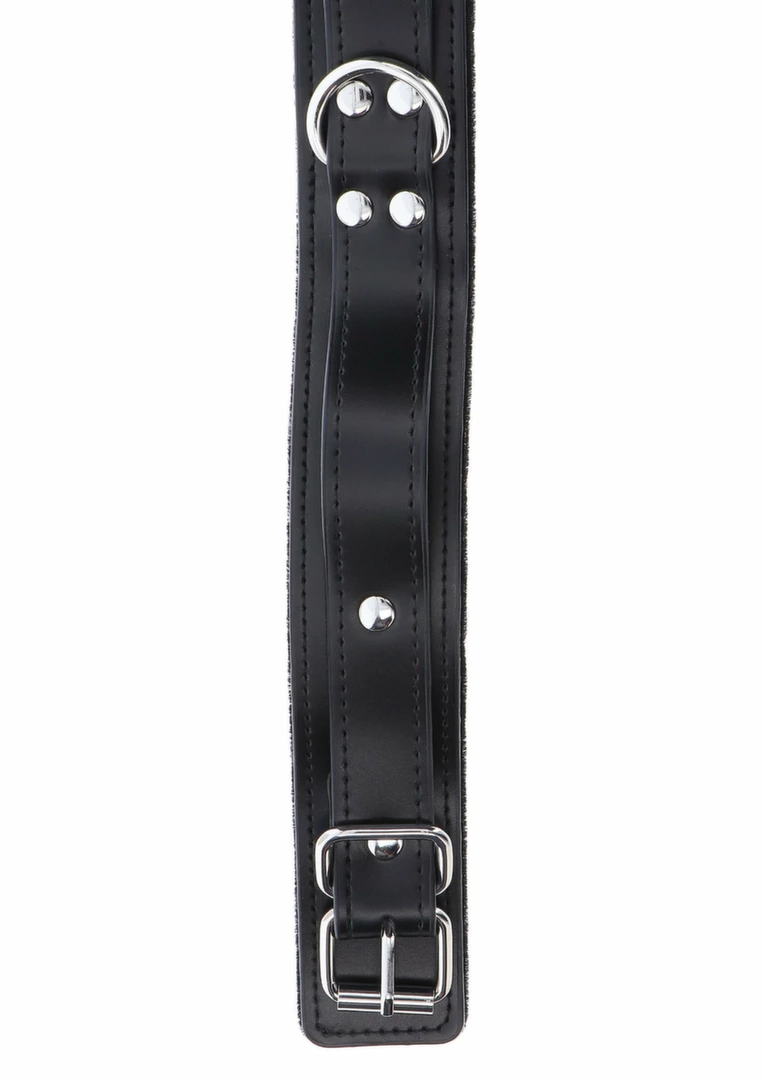 bondage collar