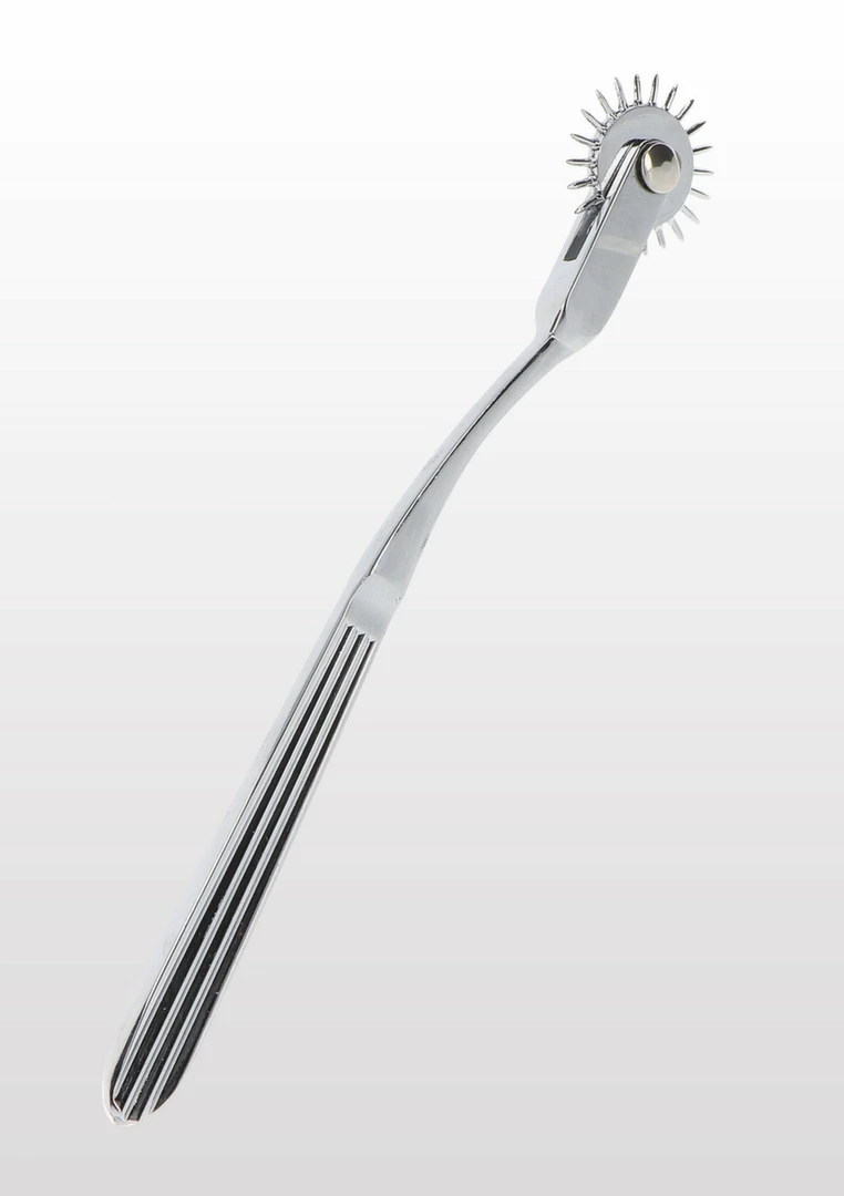 TABOOM Wartenberg Wheel stalowy precyzyjny waÅ‚ek sensoryczny 8713221828583