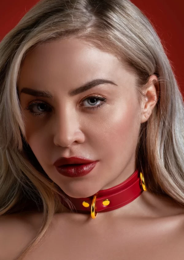 TABOOM D-Ring Collar Deluxe skorzana obroÅ¼a z 3 pierÅ›cieniami