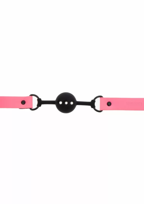 bondage gag
