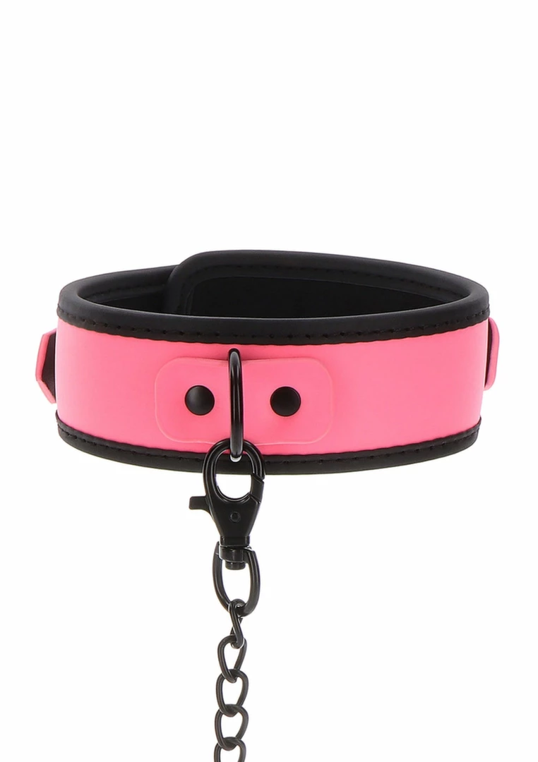bondage collar