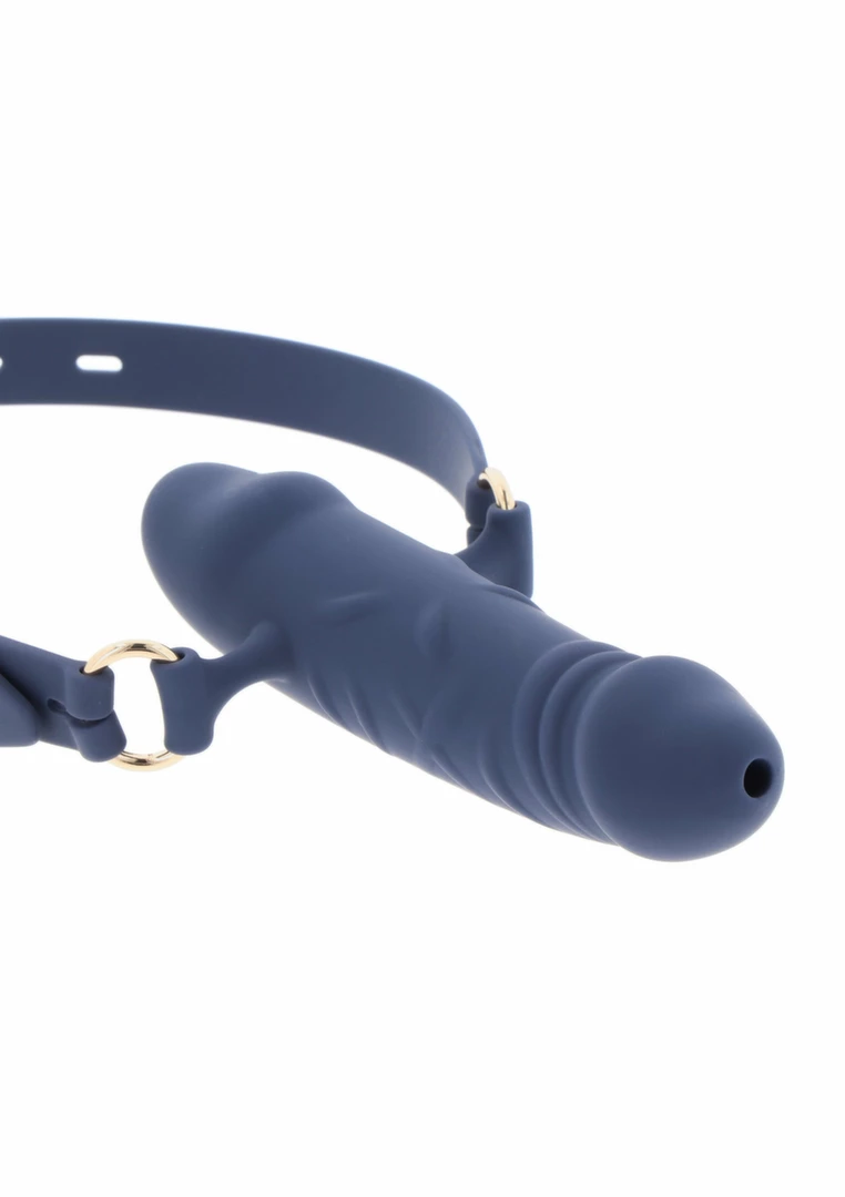 bondage gag