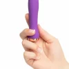 bullet vibrator