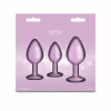 NS Novelties Trainer Kit Iridescent Pink 3-Piece Set Chrome