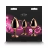 Rear Assets Trainer Kit Chrome-Plated Graduated Set 3 pcs Silver. Butt plug. See functions