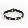 Fetish & Fashion Alina Collar z krysztaÅ‚kami i zÅ‚otymi zawieszkami