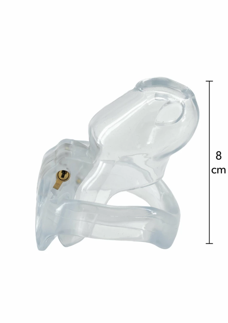 HIDDEN DESIRE Clear Control Cock Cage Regular - przezroczysty system kontroli