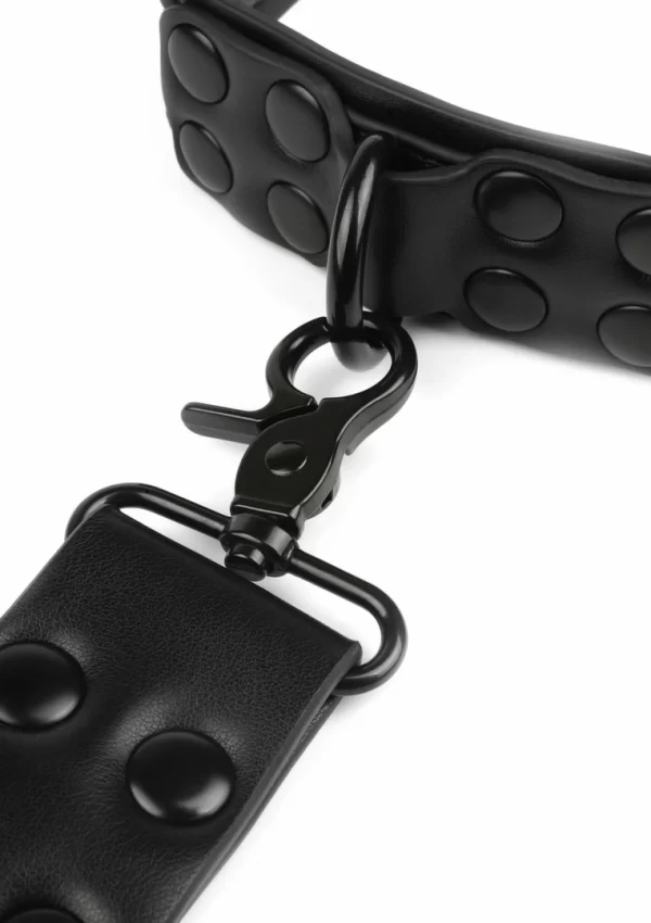 AVANZA VANTAGE 8 Signature Collar & Leash Black PU Leather