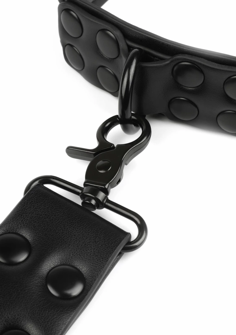 AVANZA VANTAGE 8 Signature Collar & Leash Black PU Leather