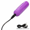 Passion Collection Set - Rechargeable Bullet & Adjustable Nipple System. Gratis