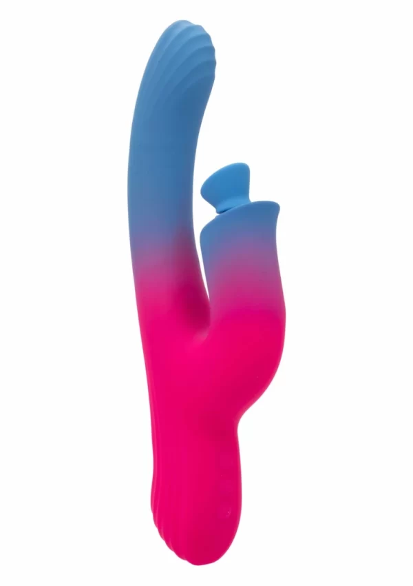 CalExotics Dual Stimulator Suction Vibrator silikonowy 2w1 - vibraattori
