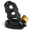chastity cage