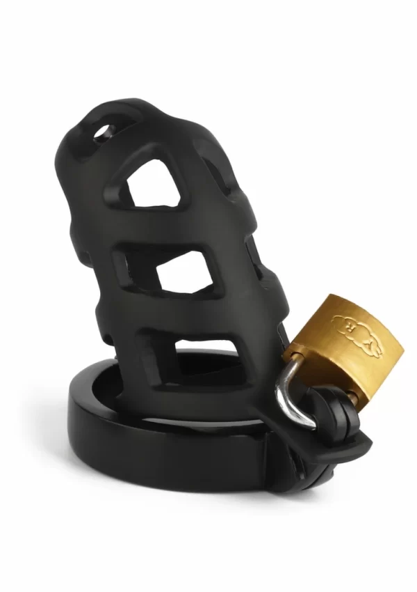 chastity cage