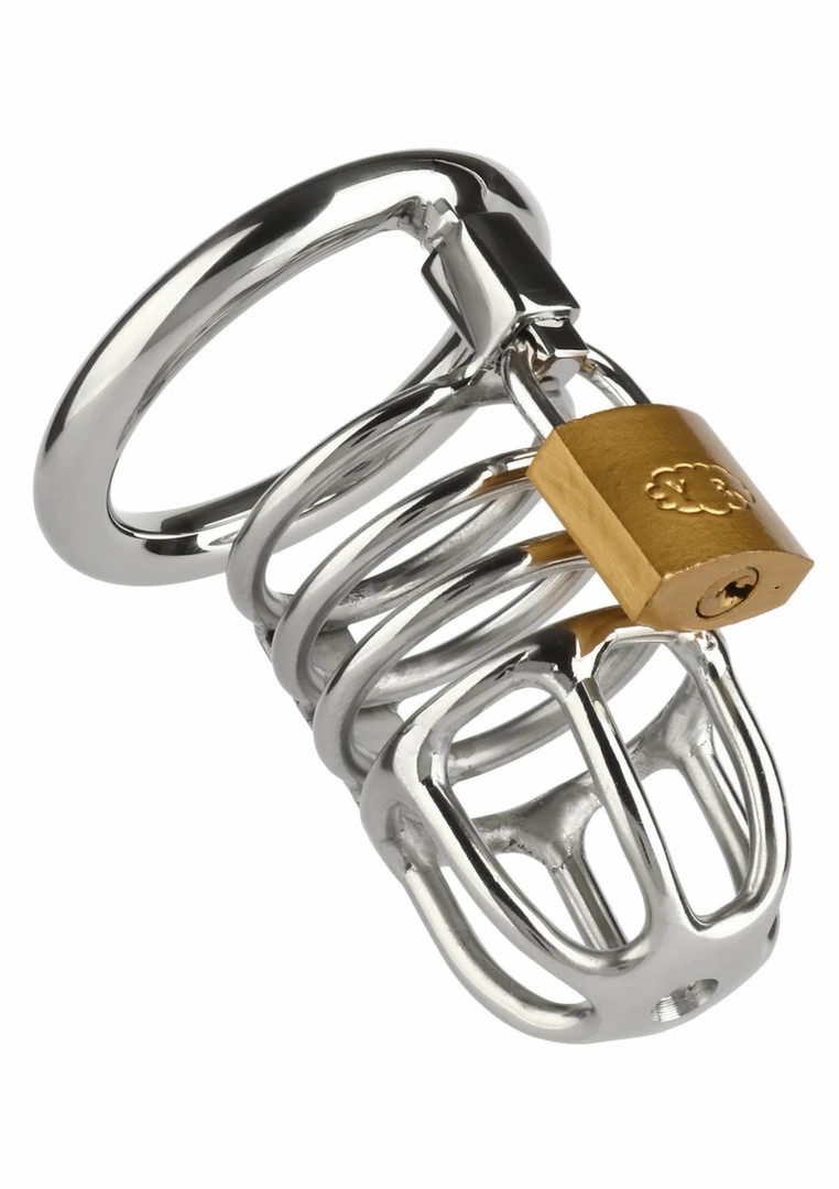 Mr. Steel Master Chastity Cock Cage stalowy system blokujÄ…cy Srebrny