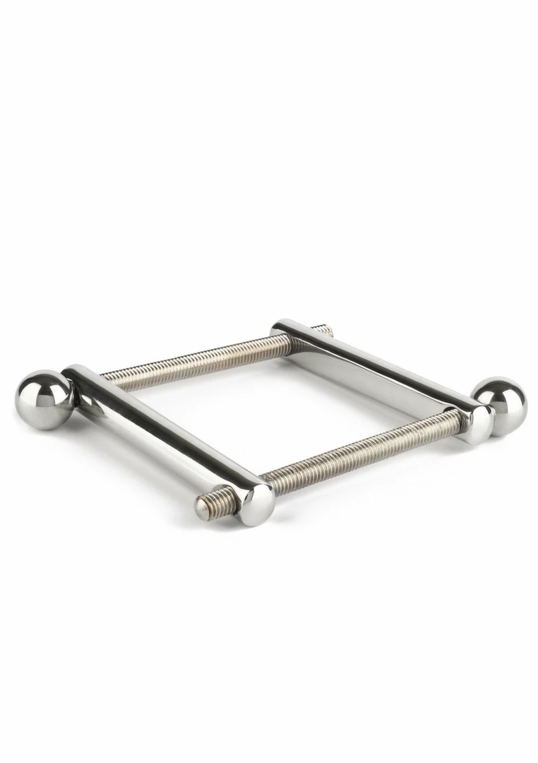 BDSM nipple clamps