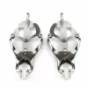 nipple clamps