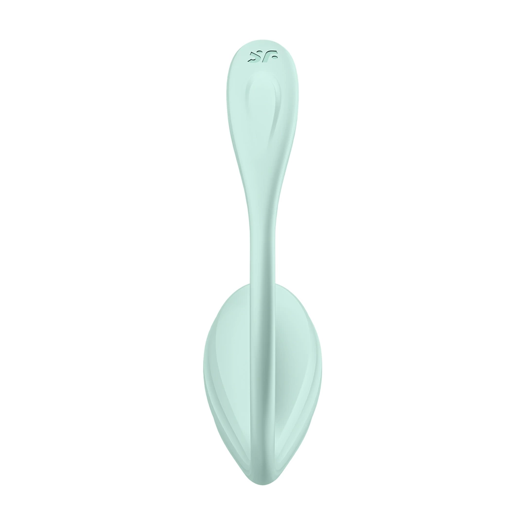 panty vibrator