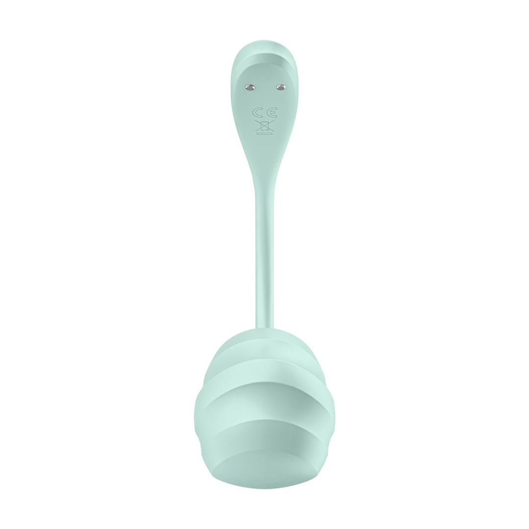 Satisfyer Smooth Petal Connect App – Do majtek