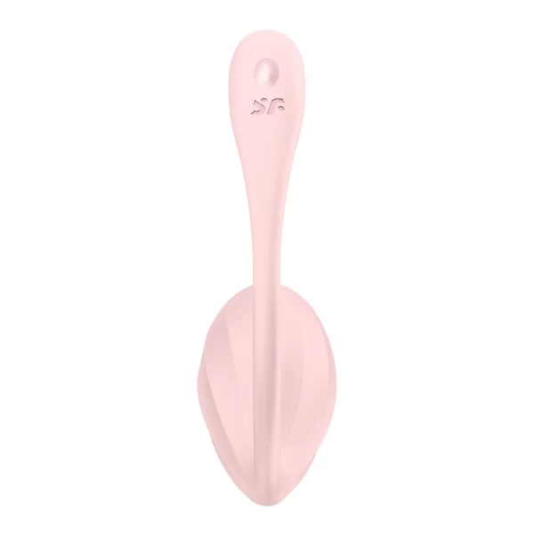 panty vibrator