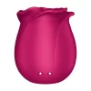Satisfyer Pro 2 Modern Blossom Rose Pressure Wave Device