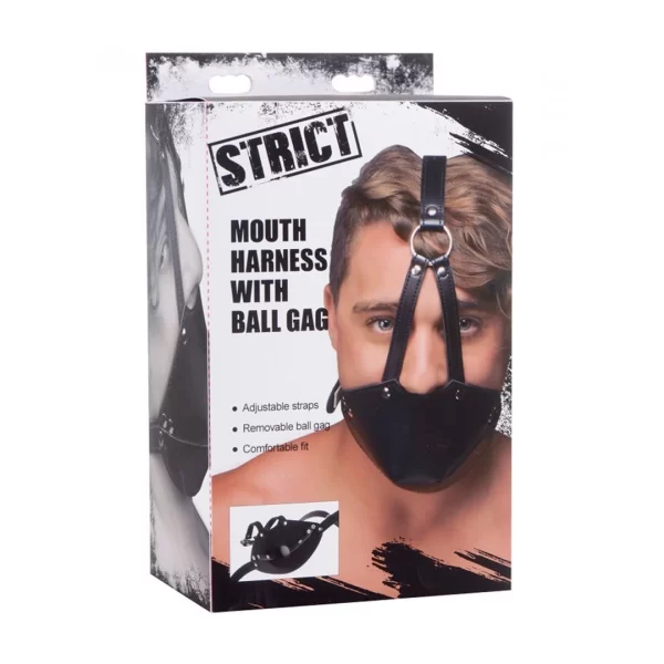 Master Series Ball Gag Adjustable Head Harness