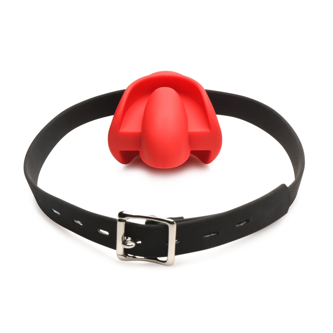 bondage gag