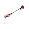 Loving Joy Heart Crop Red Lace Long Handle