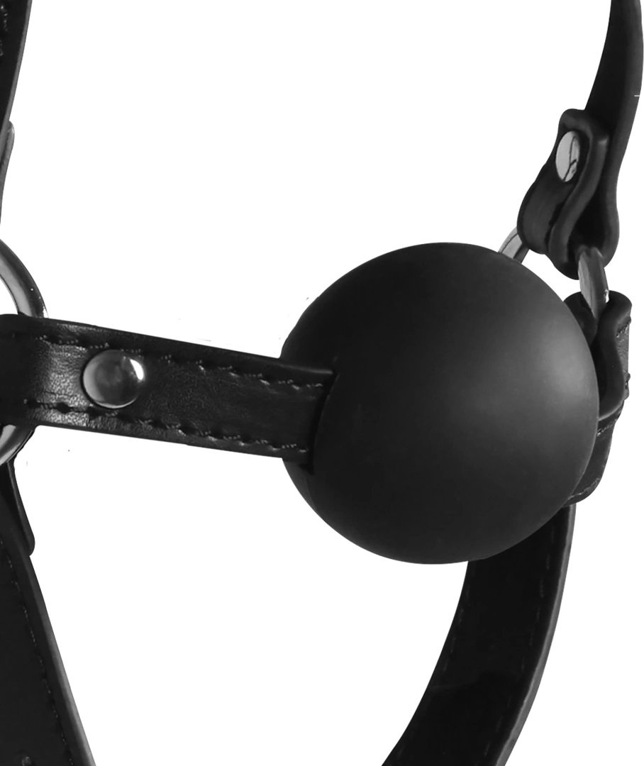 bondage gag