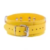 Red Leather Adjustable Yellow Collar