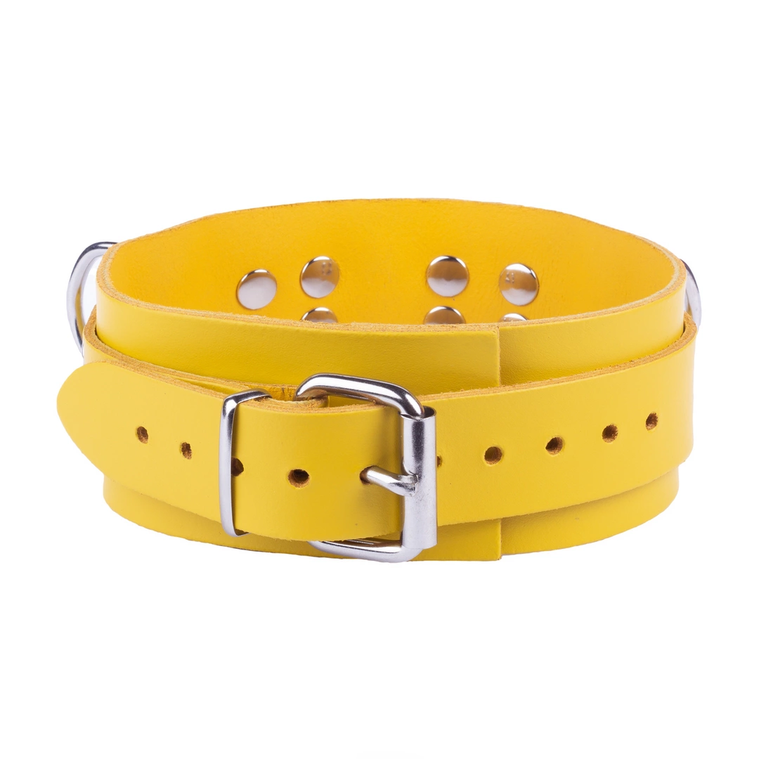 Red Leather Adjustable Yellow Collar