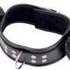 Red Leather Adjustable Neck and Hand Restraint System