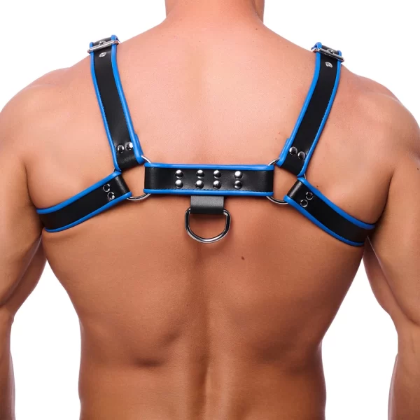 Red Leather Premium Leather Harness Black/Blue