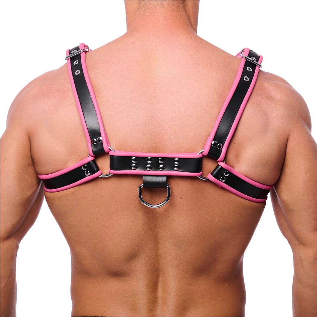 Red Leather Close Premium Leather Harness Adjustable Black &