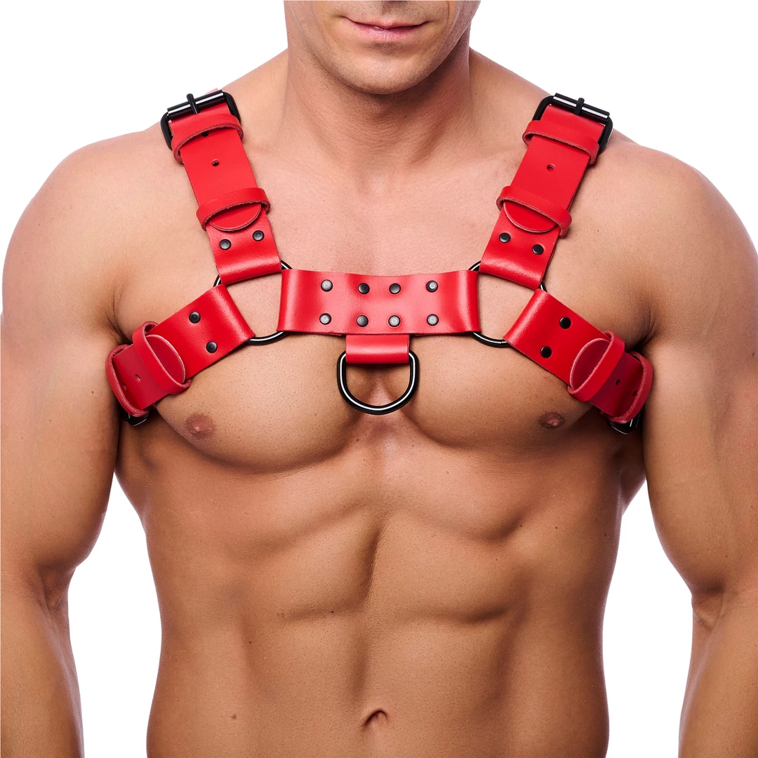 Red Leather Skorzany UprzÄ…Å¼ Bulldog S/M Czerwony Regulowany Pasek