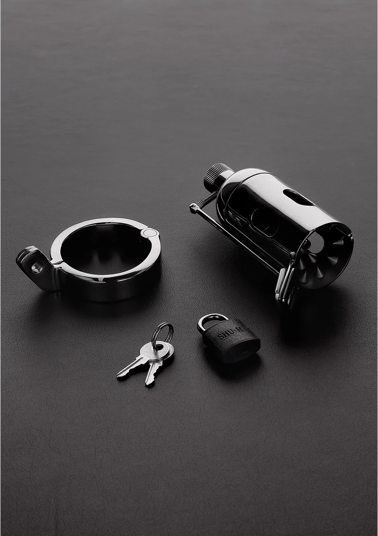 The Pleasure Dome Advanced Chastity System with Lockable