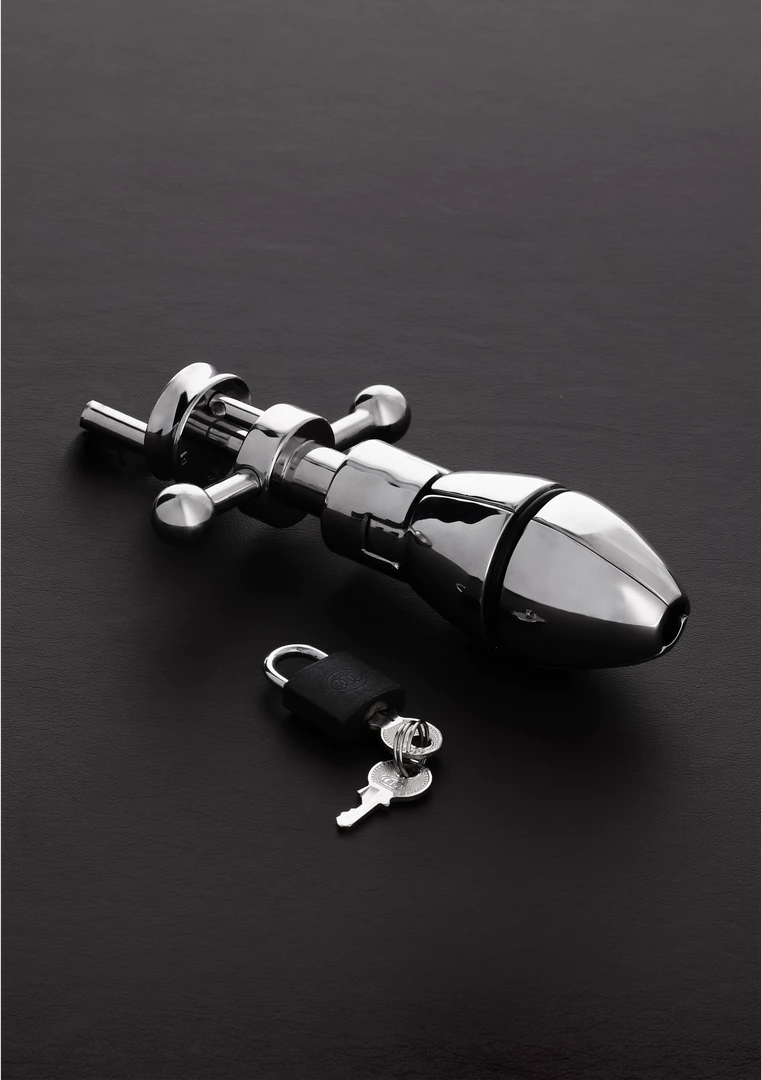 Master Series The Anal Lock Expandable Steel Plug with Padlock Option