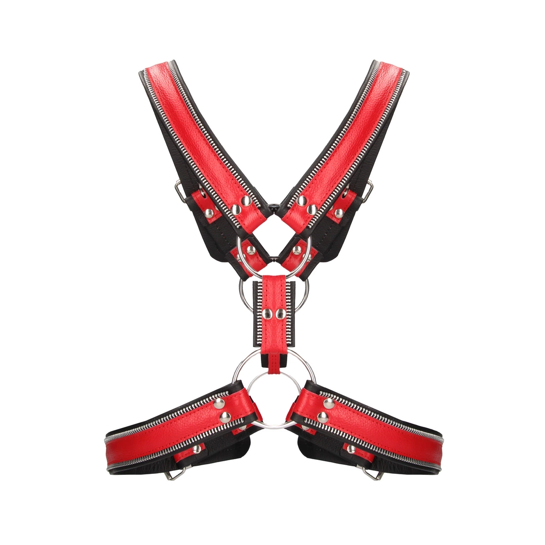 Z Series Scottish Leather Harness Z Series Scottish Leather Harness