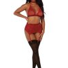 Fishnet and Lace 4 Piece Set - One Size