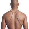 Harness