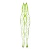 making you stand out with its eye-catching neon pink or neon green hues.Playful Open Crotch: The bodystocking incorporates a playful open crotch design