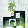 Stimulating gel - Anelma NUEI Oh Holy Mary Cannabis Intimate Cream 60ml - Vegan Lubricating Formula