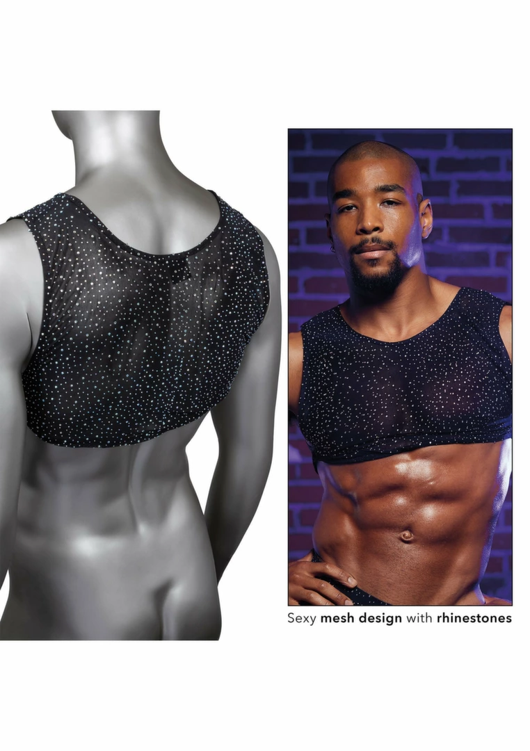 CalExotics Radiance Crop Top by Radiance