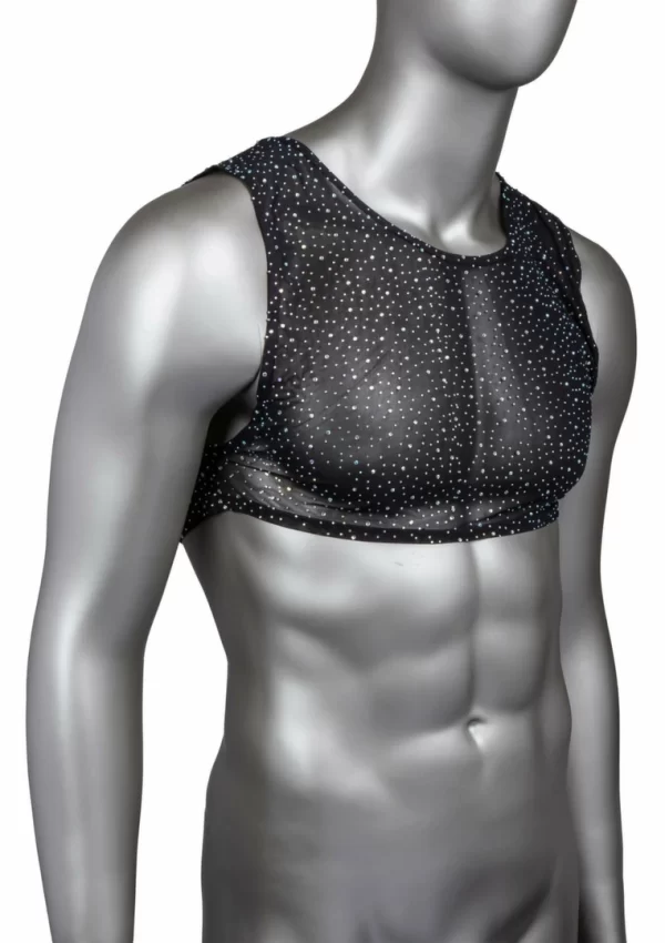 CalExotics Radiance Crop Top by Radiance - Mesh Design & Rhinestone Accents