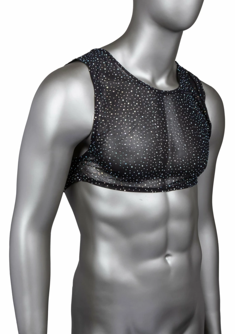 CalExotics Radiance Crop Top by Radiance - Mesh Design & Rhinestone Accents