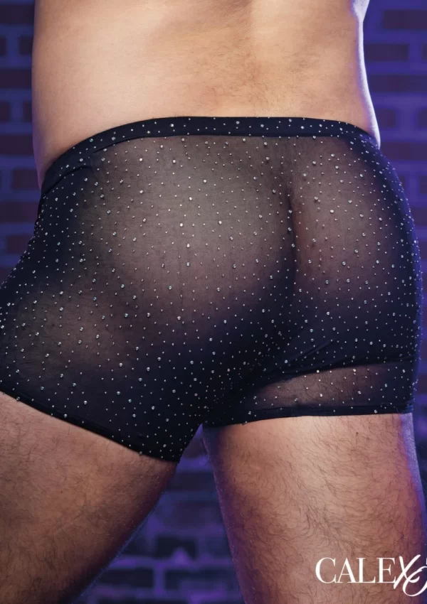 Radiance Boxer Briefs by Radiance - Mesh Design & Rhinestone Accents. Men underwear