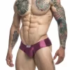 Justin+Simon Cheek Bikini Chlorine-Resistant Swim Brief