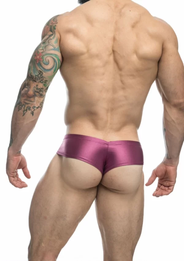 Justin+Simon Cheek Bikini Chlorine-Resistant Swim Brief