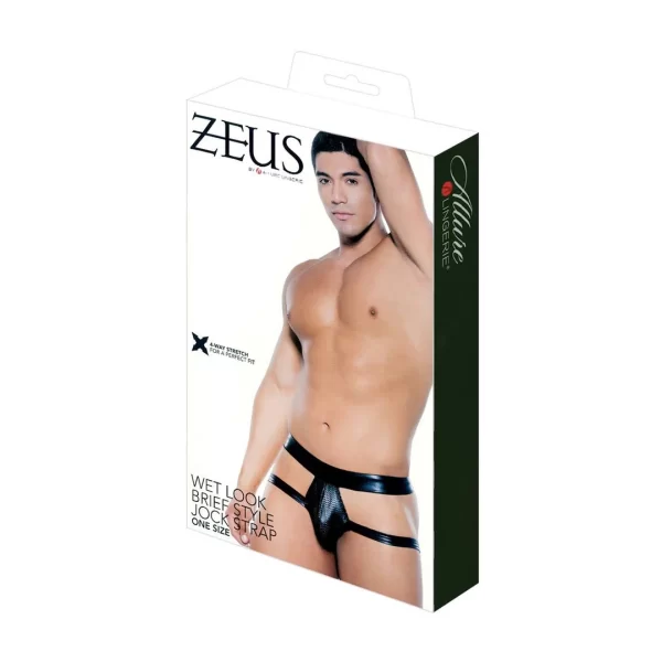 Male Power Wetlook Brief Jockstrap Black One Size Adjustable